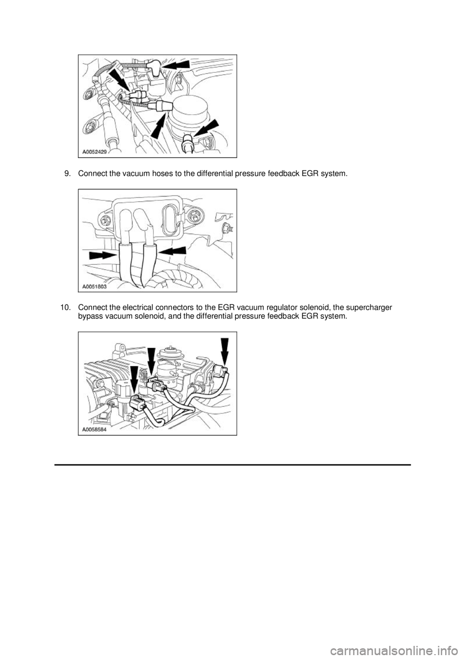 FORD MUSTANG 2003  Workshop Manual 9. Connect the vacuum hoses to the differential pressure feedback EGR system. 
10. Connect the electrical connectors to the EGR vacuum regulator solenoid, the supercharger  bypass vacuum solenoid, and