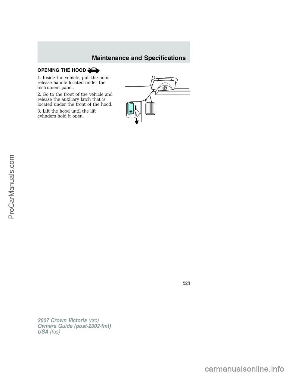 FORD E-450 2007  Owners Manual OPENING THE HOOD
1. Inside the vehicle, pull the hood
release handle located under the
instrument panel.
2. Go to the front of the vehicle and
release the auxiliary latch that is
located under the fro