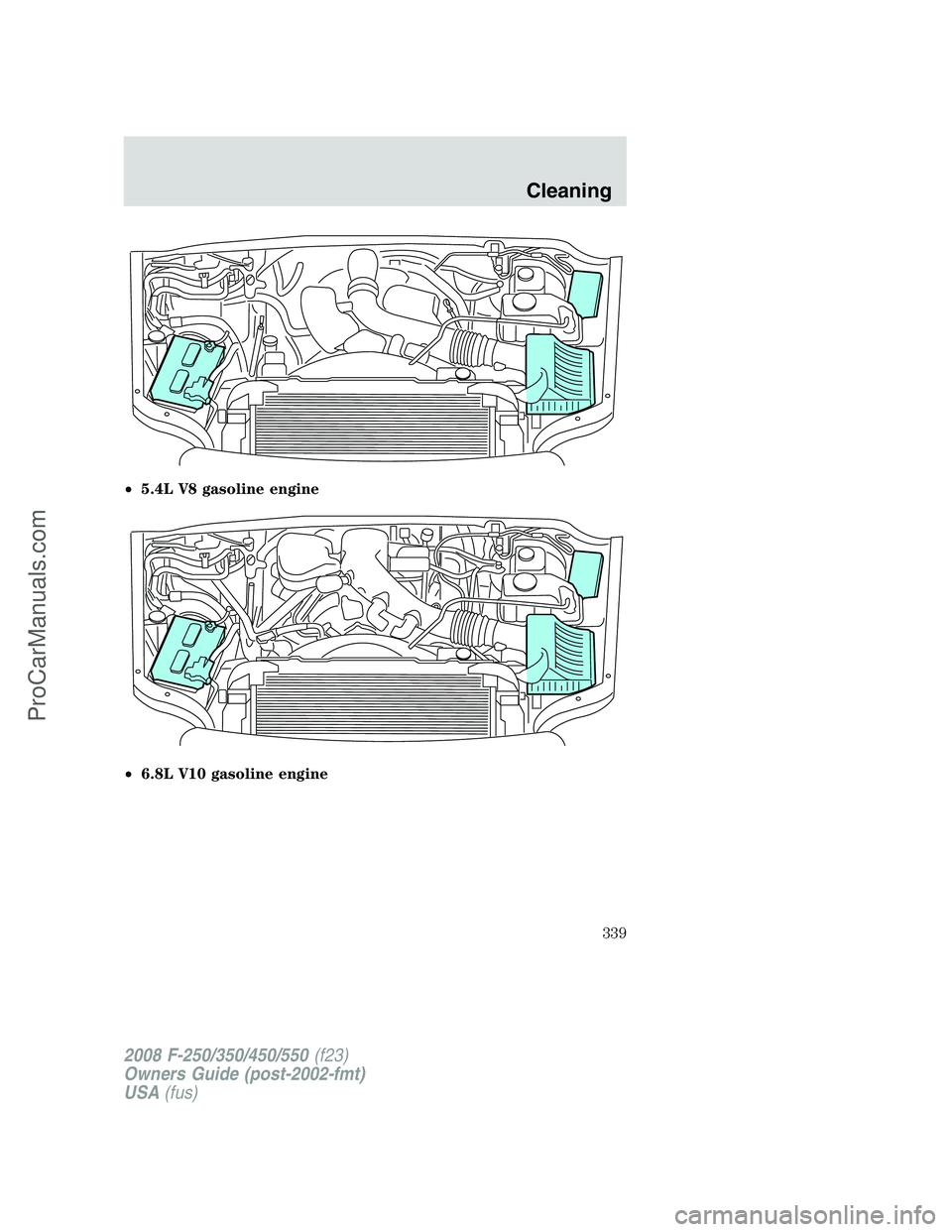 FORD F350 2008  Owners Manual •5.4L V8 gasoline engine
•6.8L V10 gasoline engine
2008 F-250/350/450/550(f23)
Owners Guide (post-2002-fmt)
USA(fus)
Cleaning
339
ProCarManuals.com 