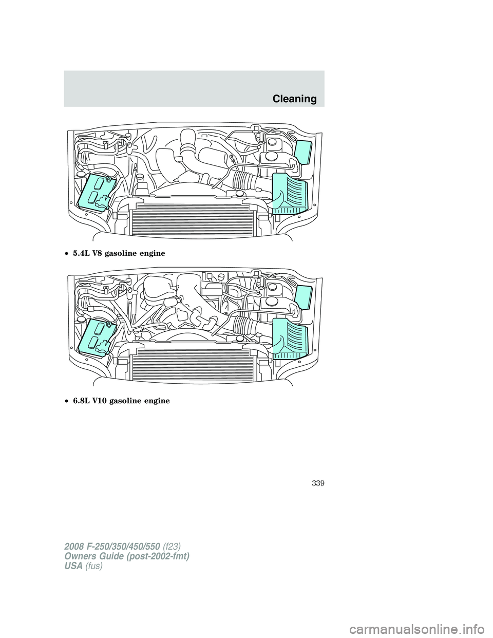 FORD F250 2008  Owners Manual •5.4L V8 gasoline engine
•6.8L V10 gasoline engine
2008 F-250/350/450/550(f23)
Owners Guide (post-2002-fmt)
USA(fus)
Cleaning
339 
