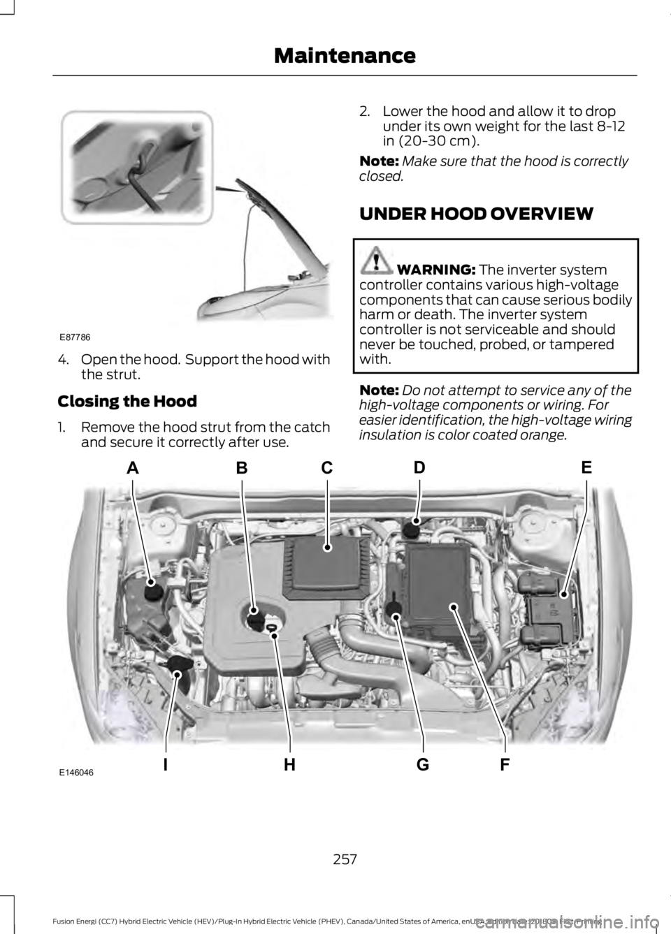 FORD FUSION ENERGI 2019  Owners Manual 4.
Open the hood.  Support the hood with
the strut.
Closing the Hood
1. Remove the hood strut from the catch
and secure it correctly after use. 2. Lower the hood and allow it to drop
under its own wei