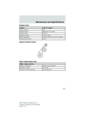 Page 313
