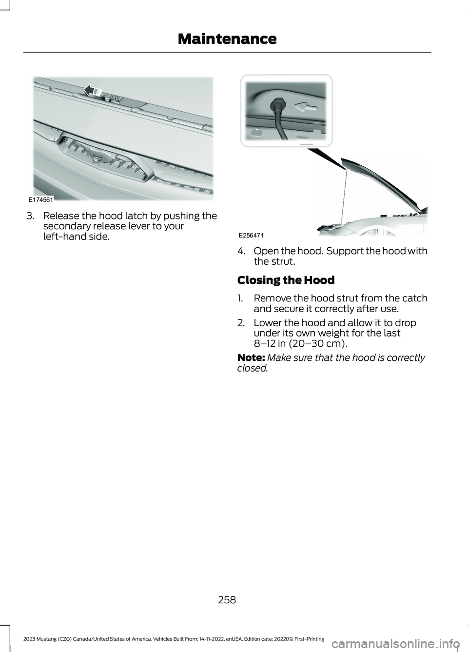 FORD MUSTANG 2023  Owners Manual 3.Release the hood latch by pushing thesecondary release lever to yourleft-hand side.
4.Open the hood.  Support the hood withthe strut.
Closing the Hood
1.Remove the hood strut from the catchand secur