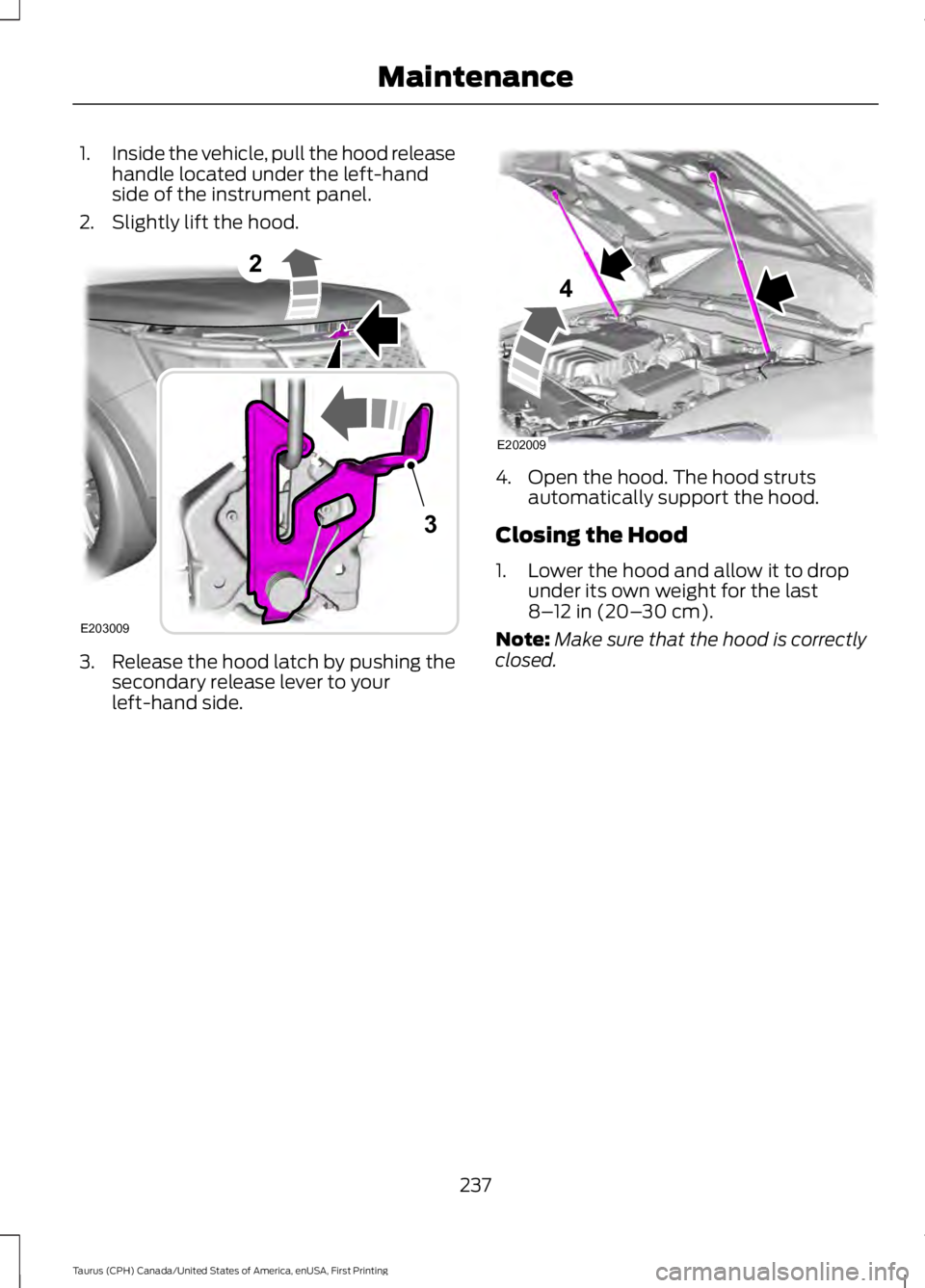 FORD TAURUS 2017  Owners Manual 1.Inside the vehicle, pull the hood releasehandle located under the left-handside of the instrument panel.
2. Slightly lift the hood.
3. Release the hood latch by pushing thesecondary release lever to