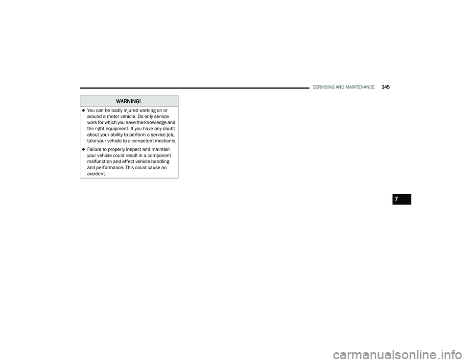 DODGE CHALLENGER 2020  Owners Manual 
SERVICING AND MAINTENANCE245
WARNING!
You can be badly injured working on or 
around a motor vehicle. Do only service 
work for which you have the knowledge and 
the right equipment. If you have a