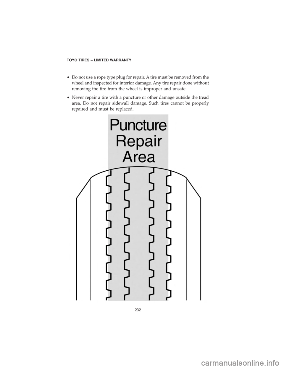 DODGE CHALLENGER SRT 2019  Vehicle Warranty •Do not use a rope type plug for repair. A tire must be removed from the
wheel and inspected for interior damage. Any tire repair done without
removing the tire from the wheel is improper and unsafe