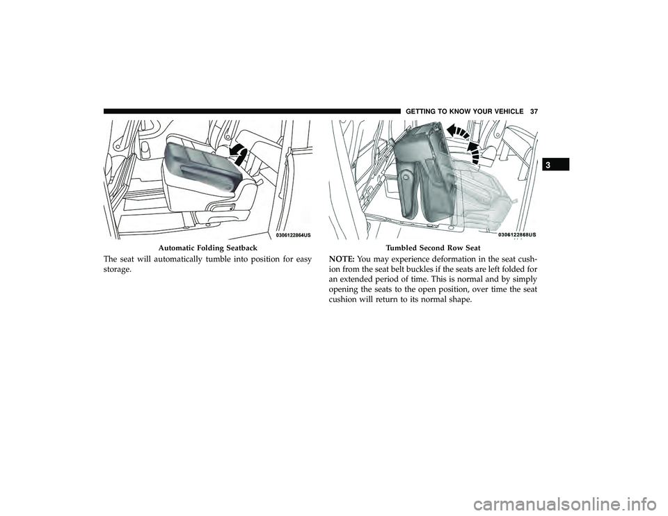 DODGE GRAND CARAVAN 2019  Owners Manual The seat will automatically tumble into position for easy
storage.NOTE:
You may experience deformation in the seat cush-
ion from the seat belt buckles if the seats are left folded for
an extended per