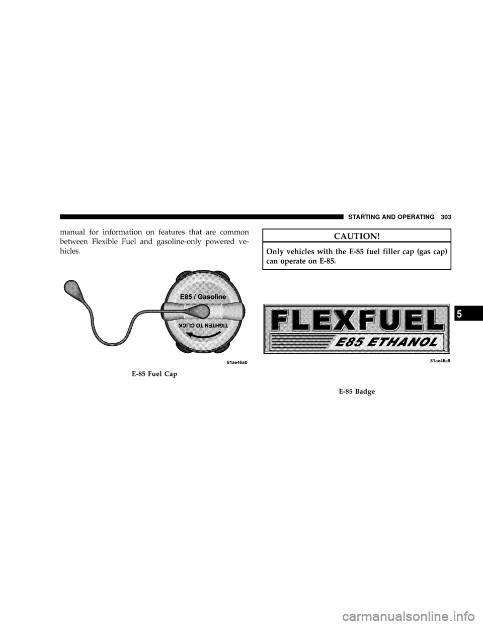 DODGE DAKOTA 2009 3.G Owners Manual manual for information on features that are common
between Flexible Fuel and gasoline-only powered ve-
hicles.CAUTION!
Only vehicles with the E-85 fuel filler cap (gas cap)
can operate on E-85.
E-85 F