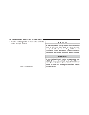 Page 236
