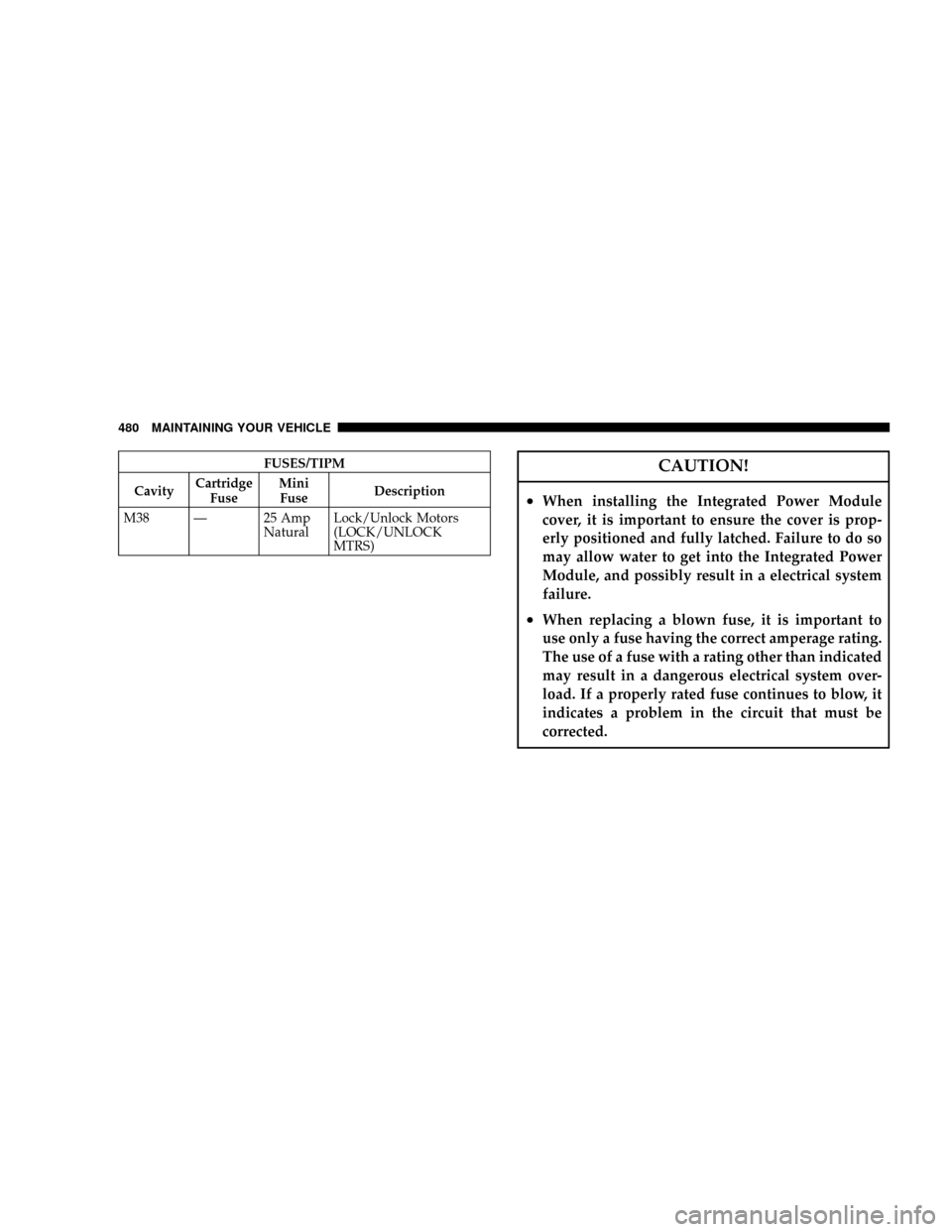 DODGE GRAND CARAVAN 2008 5.G Owners Manual FUSES/TIPM
CavityCartridge
FuseMini
FuseDescription
M38 Ð 25 Amp
NaturalLock/Unlock Motors
(LOCK/UNLOCK
MTRS)CAUTION!
²When installing the Integrated Power Module
cover, it is important to ensure th