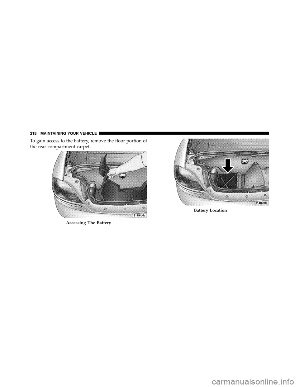 DODGE VIPER 2010 ZB II / 2.G Owners Manual To gain access to the battery, remove the floor portion of
the rear compartment carpet.
Accessing The Battery
Battery Location
218 MAINTAINING YOUR VEHICLE 