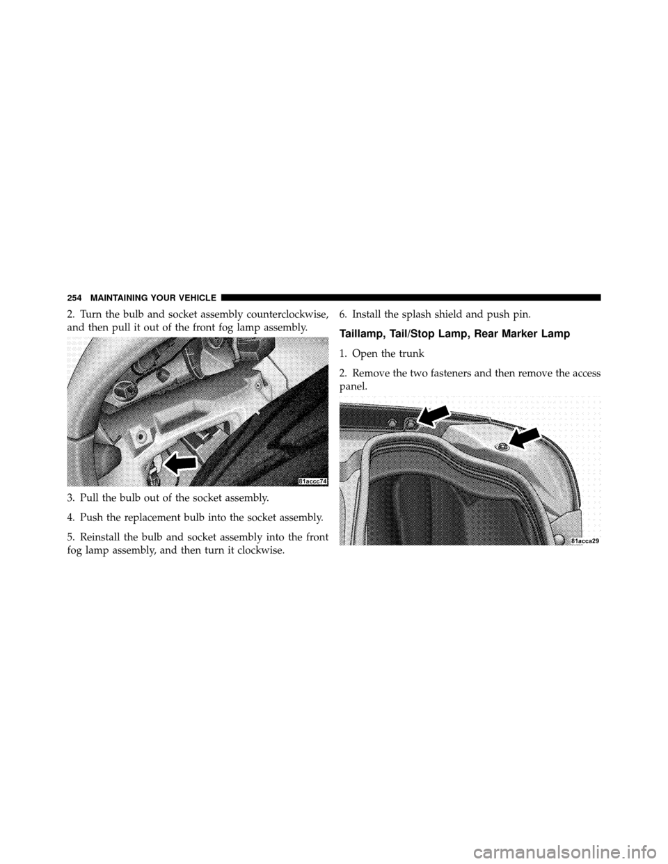 DODGE VIPER 2010 ZB II / 2.G Owners Manual 2. Turn the bulb and socket assembly counterclockwise,
and then pull it out of the front fog lamp assembly.
3. Pull the bulb out of the socket assembly.
4. Push the replacement bulb into the socket as