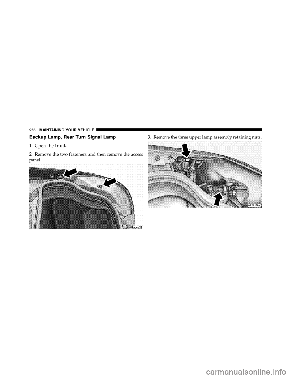 DODGE VIPER 2010 ZB II / 2.G Owners Manual Backup Lamp, Rear Turn Signal Lamp
1. Open the trunk.
2. Remove the two fasteners and then remove the access
panel.3. Remove the three upper lamp assembly retaining nuts.
256 MAINTAINING YOUR VEHICLE 