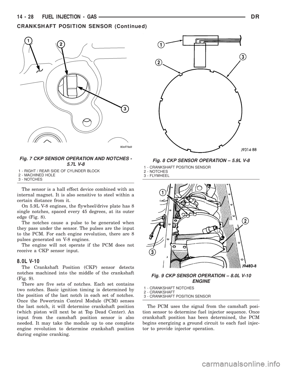 DODGE RAM 2003  Service Repair Manual The sensor is a hall effect device combined with an
internal magnet. It is also sensitive to steel within a
certain distance from it.
On 5.9L V-8 engines, the flywheel/drive plate has 8
single notches