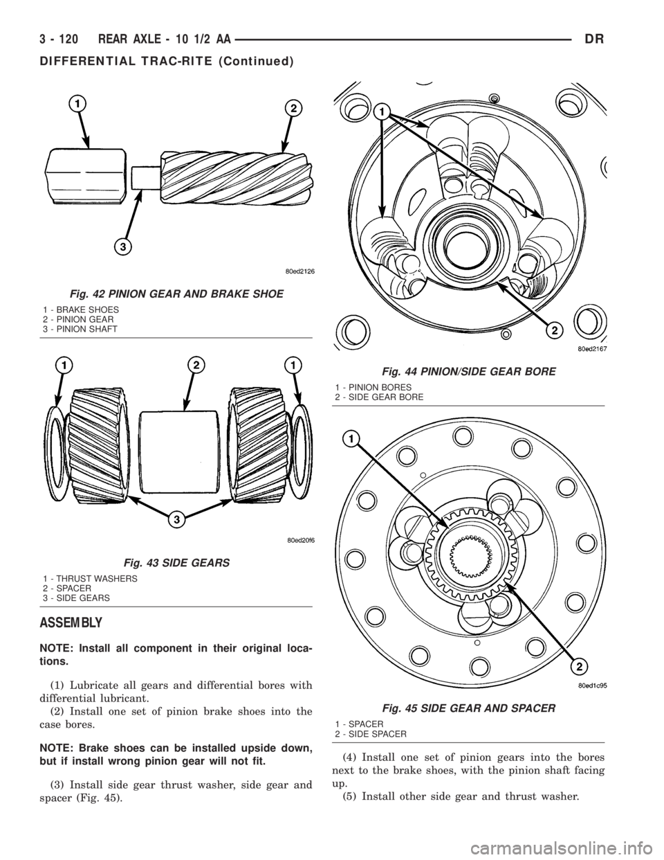 DODGE RAM 2003  Service Repair Manual ASSEMBLY
NOTE: Install all component in their original loca-
tions.
(1) Lubricate all gears and differential bores with
differential lubricant.
(2) Install one set of pinion brake shoes into the
case 