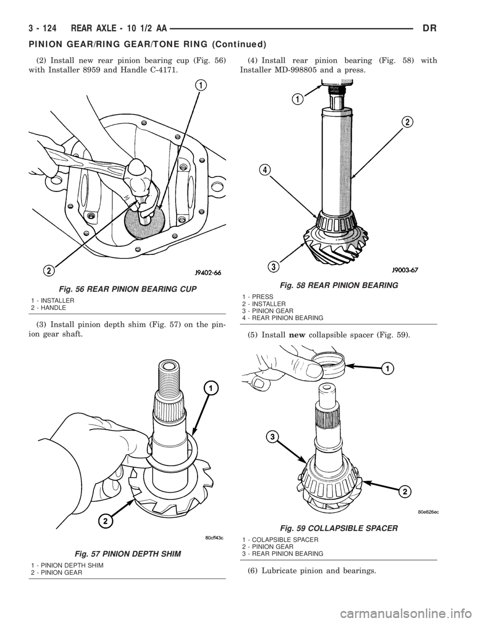 DODGE RAM 2003  Service Repair Manual (2) Install new rear pinion bearing cup (Fig. 56)
with Installer 8959 and Handle C-4171.
(3) Install pinion depth shim (Fig. 57) on the pin-
ion gear shaft.(4) Install rear pinion bearing (Fig. 58) wi