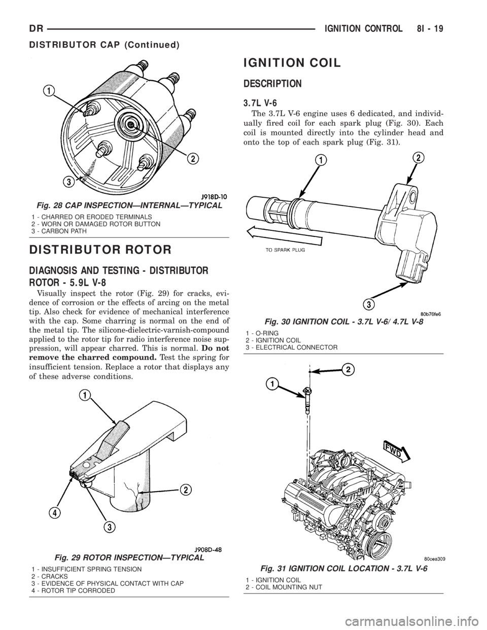 DODGE RAM 2003  Service Repair Manual DISTRIBUTOR ROTOR
DIAGNOSIS AND TESTING - DISTRIBUTOR
ROTOR - 5.9L V-8
Visually inspect the rotor (Fig. 29) for cracks, evi-
dence of corrosion or the effects of arcing on the metal
tip. Also check fo
