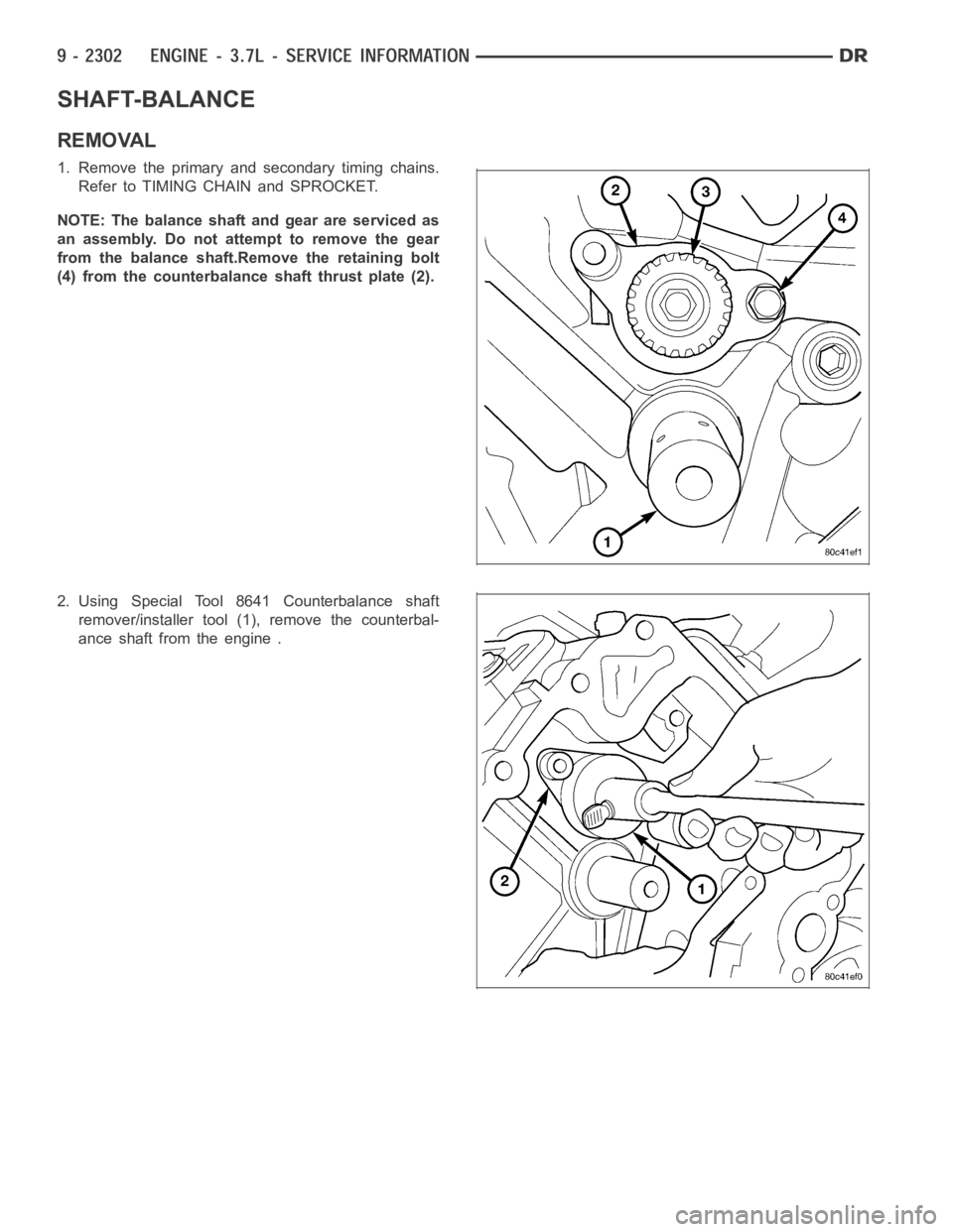 DODGE RAM SRT-10 2006  Service Repair Manual SHAFT-BALANCE
REMOVAL
1. Remove the primary and secondary timing chains.
Refer to TIMING CHAIN and SPROCKET.
NOTE: The balance shaft and gear are serviced as
an assembly. Do not attempt to remove the 