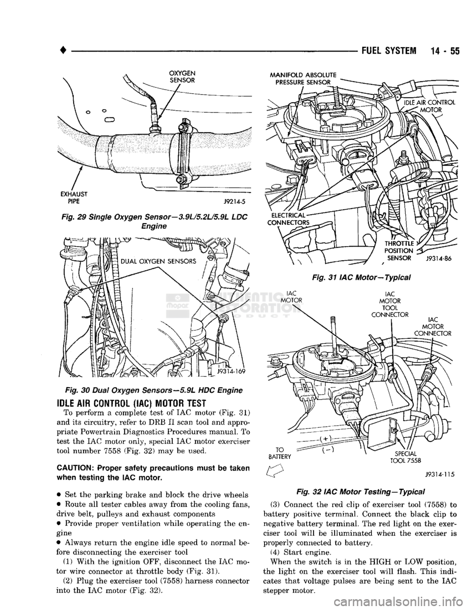 DODGE TRUCK 1993  Service Repair Manual 
• 

FUEL
 SYSTEM
 14 - 55 

Fig.
 30
 Dual
 Oxygen
 Sensors—5.9L
 HDC
 Engine 
 IDLE
 AIR
 CONTROL
 (IAC)
 MOTOR
 TEST 

To perform a complete test of IAC motor (Fig. 81) 
and its circuitry, refe