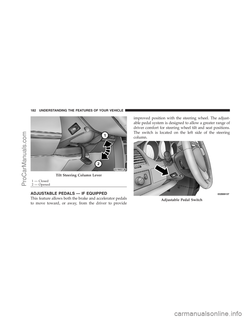 DODGE CARAVAN 2009  Owners Manual ADJUSTABLE PEDALS — IF EQUIPPED
This feature allows both the brake and accelerator pedals
to move toward, or away, from the driver to provideimproved position with the steering wheel. The adjust-
ab
