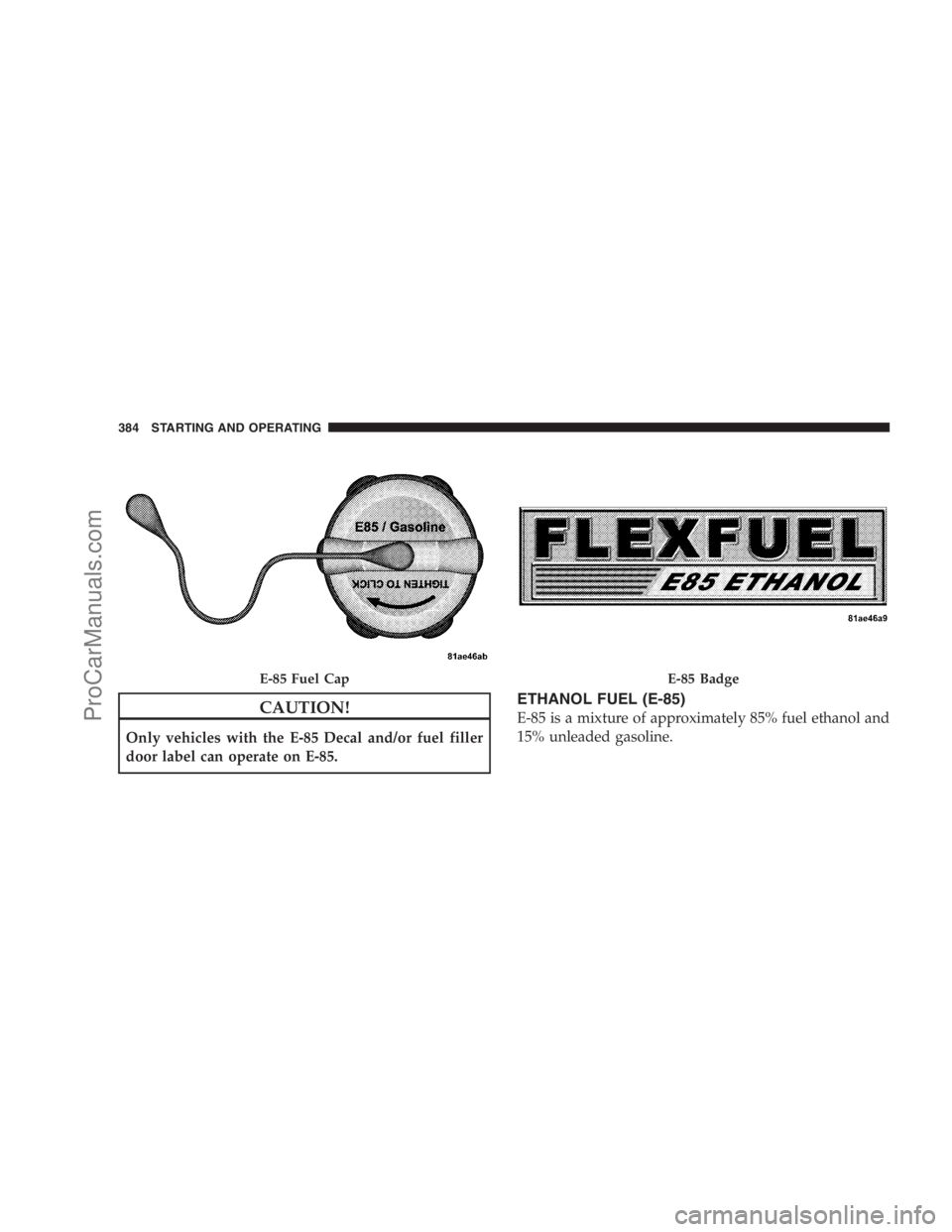 DODGE CARAVAN 2009  Owners Manual CAUTION!
Only vehicles with the E-85 Decal and/or fuel filler
door label can operate on E-85.
ETHANOL FUEL (E-85)
E-85 is a mixture of approximately 85% fuel ethanol and
15% unleaded gasoline.
E-85 Fu