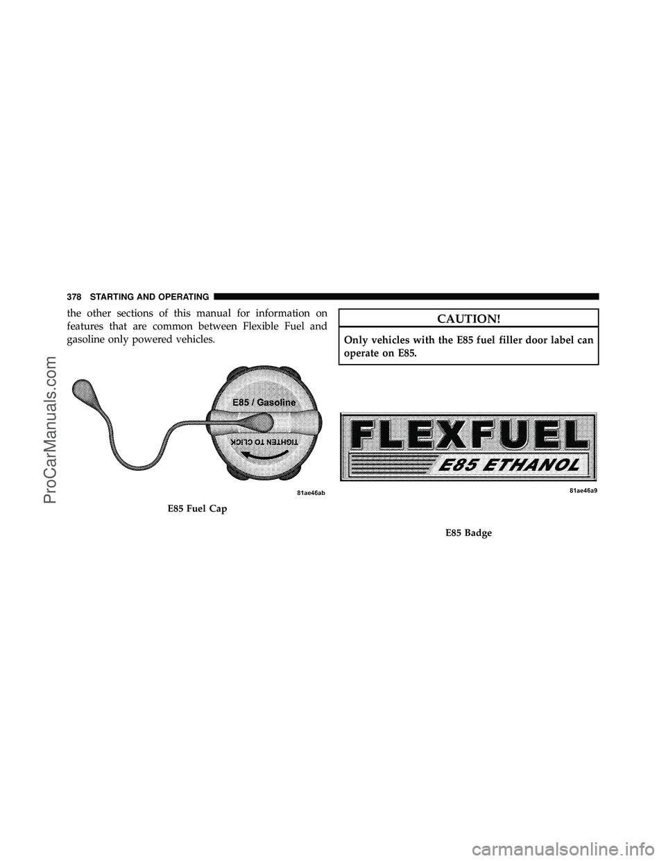 DODGE CARAVAN 2010  Owners Manual the other sections of this manual for information on
features that are common between Flexible Fuel and
gasoline only powered vehicles.CAUTION!
Only vehicles with the E85 fuel filler door label can
op