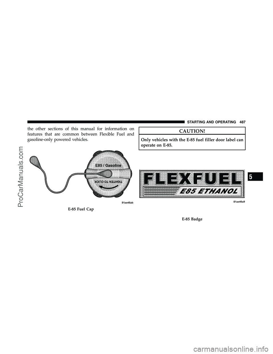 DODGE CARAVAN 2012  Owners Manual the other sections of this manual for information on
features that are common between Flexible Fuel and
gasoline-only powered vehicles.CAUTION!
Only vehicles with the E-85 fuel filler door label can
o
