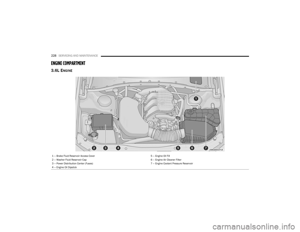 DODGE CHALLENGER 2023  Owners Manual 
228SERVICING AND MAINTENANCE  
ENGINE COMPARTMENT  
3.6L ENGINE 
1 — Brake Fluid Reservoir Access Cover 5 — Engine Oil Fill
2 — Washer Fluid Reservoir Cap 6 — Engine Air Cleaner Filter
3 — 