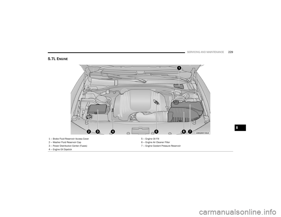 DODGE CHALLENGER 2023  Owners Manual 
SERVICING AND MAINTENANCE229
5.7L ENGINE 
1 — Brake Fluid Reservoir Access Cover 5 — Engine Oil Fill
2 — Washer Fluid Reservoir Cap 6 — Engine Air Cleaner Filter
3 — Power Distribution Cent