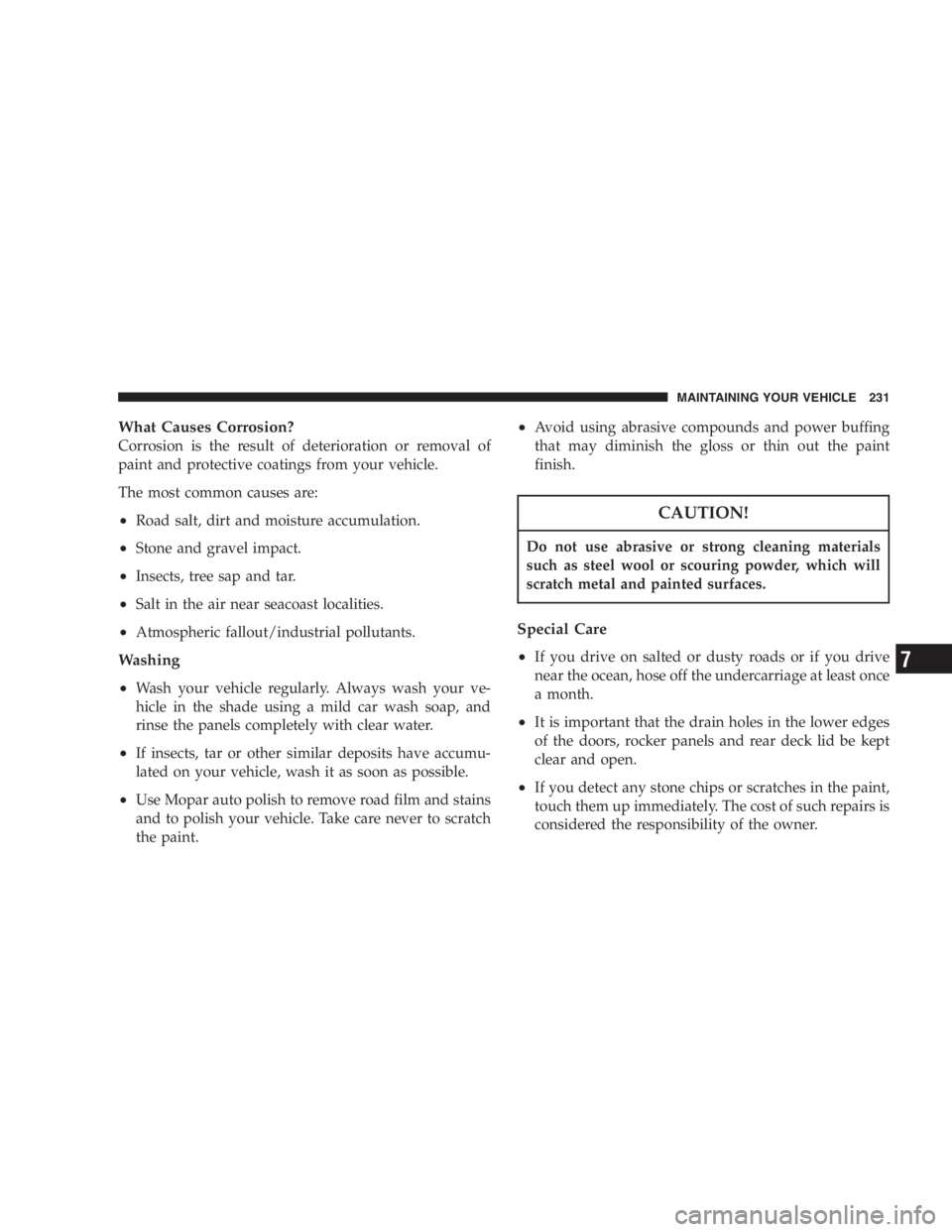 DODGE STRATUS SEDAN 2005  Owners Manual What Causes Corrosion?
Corrosion is the result of deterioration or removal of
paint and protective coatings from your vehicle.
The most common causes are:
•Road salt, dirt and moisture accumulation.