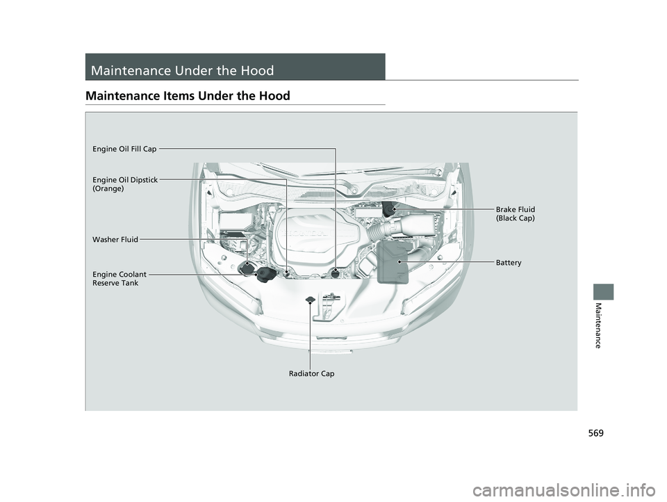 HONDA PASSPORT 2020  Owners Manual (in English) 569
Maintenance
Maintenance Under the Hood
Maintenance Items Under the Hood
Brake Fluid 
(Black Cap)
Washer Fluid
Radiator Cap
Engine Coolant 
Reserve Tank Engine Oil Dipstick 
(Orange) Engine Oil Fil