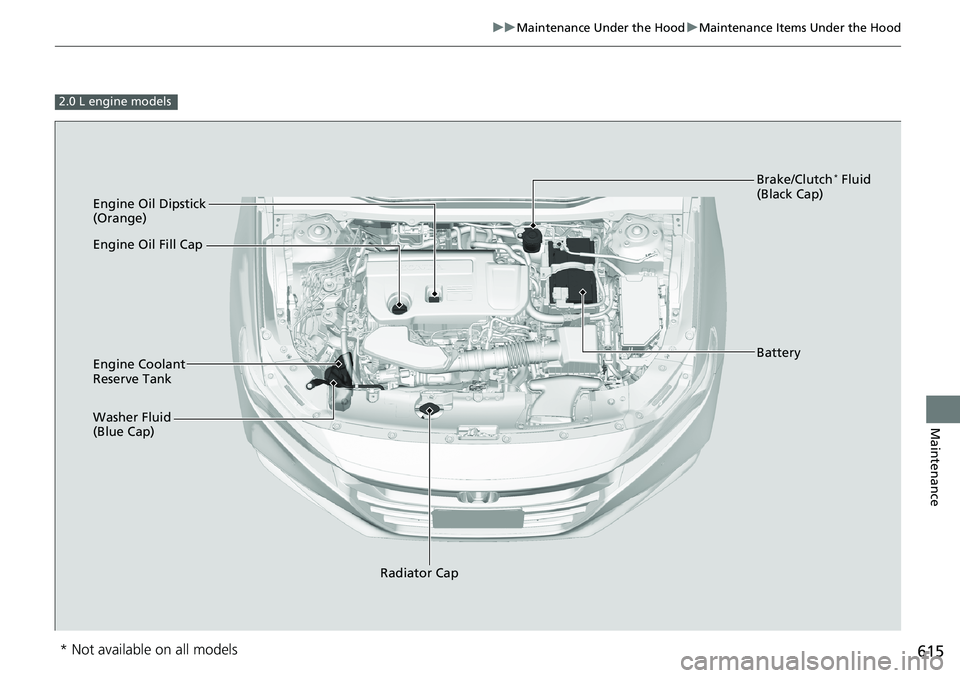 HONDA ACCORD SEDAN 2019  Owners Manual (in English) 615
uuMaintenance Under the Hood uMaintenance Items Under the Hood
Maintenance
2.0 L engine models
Engine Oil Dipstick 
(Orange)
Washer Fluid 
(Blue Cap) Engine Coolant 
Reserve Tank
Radiator Cap Brak