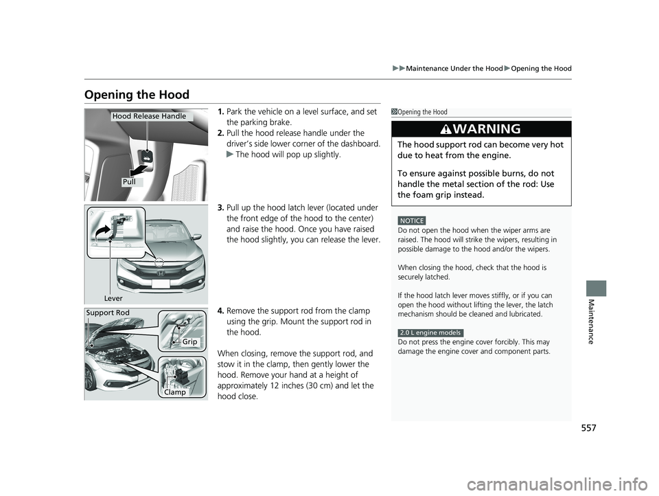 HONDA CIVIC COUPE 2019  Owners Manual (in English) 557
uuMaintenance Under the Hood uOpening the Hood
Maintenance
Opening the Hood
1. Park the vehicle on a level surface, and set 
the parking brake.
2. Pull the hood release handle under the 
driver’