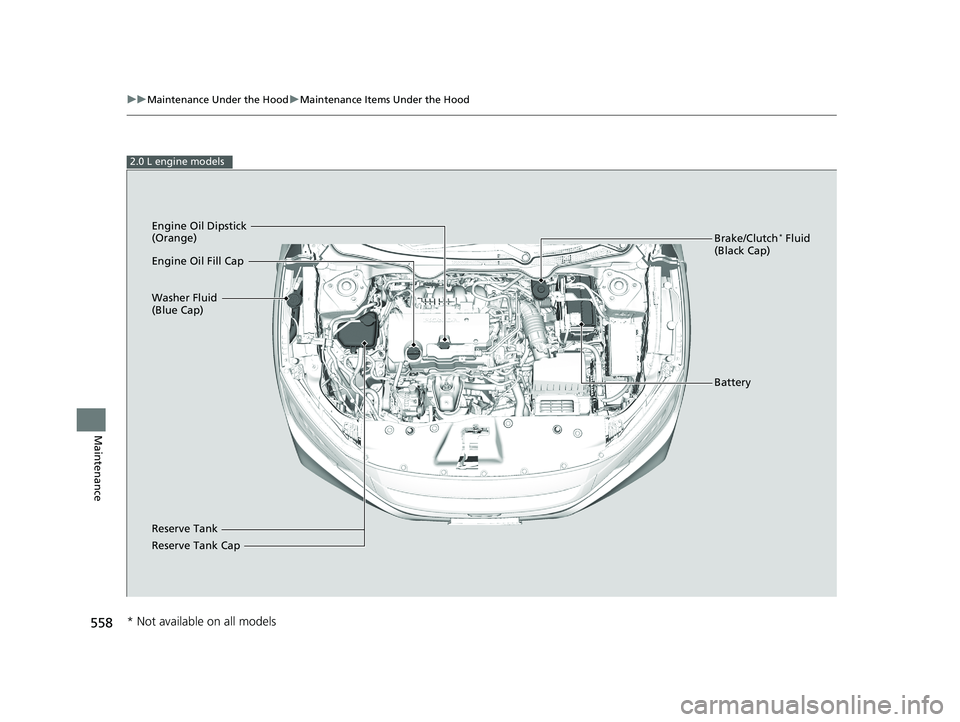 HONDA CIVIC SEDAN 2019  Owners Manual (in English) 558
uuMaintenance Under the Hood uMaintenance Items Under the Hood
Maintenance
2.0 L engine models
Brake/Clutch* Fluid 
(Black Cap)
Reserve Tank Washer Fluid 
(Blue Cap) Engine Oil Dipstick 
(Orange)
