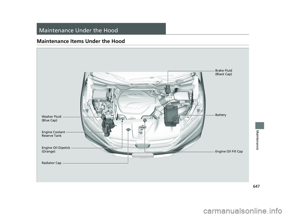 HONDA ODYSSEY 2019  Owners Manual (in English) 647
Maintenance
Maintenance Under the Hood
Maintenance Items Under the Hood
Engine Oil Dipstick 
(Orange) Washer Fluid 
(Blue Cap)
Engine Coolant 
Reserve Tank
Radiator CapBrake Fluid 
(Black Cap)
Eng