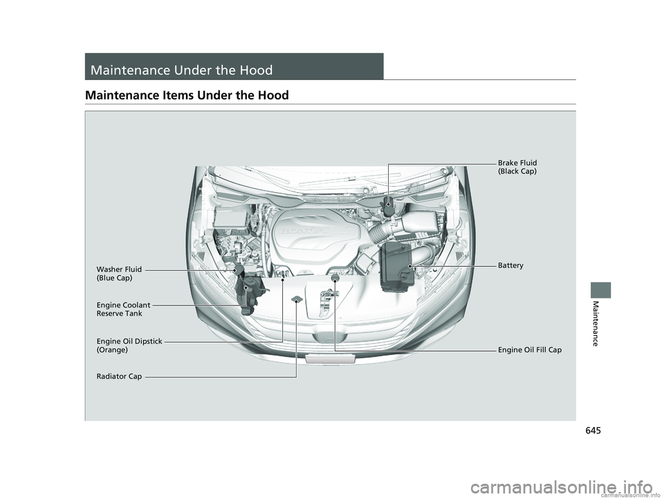 HONDA ODYSSEY 2018  Owners Manual (in English) 645
Maintenance
Maintenance Under the Hood
Maintenance Items Under the Hood
Engine Oil Dipstick 
(Orange) Washer Fluid 
(Blue Cap)
Engine Coolant 
Reserve Tank
Radiator CapBrake Fluid 
(Black Cap)
Eng