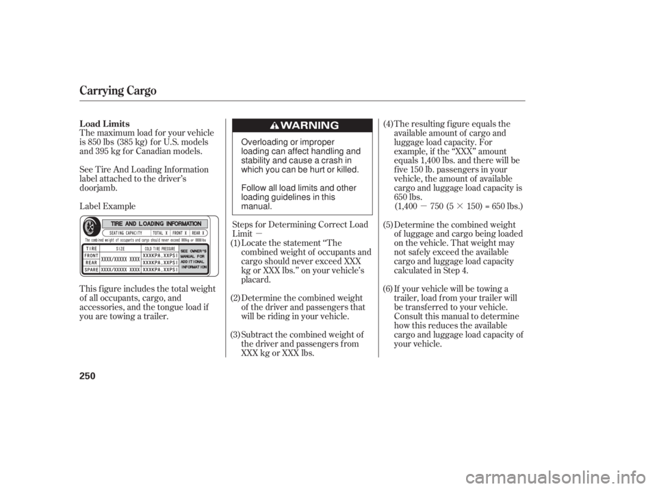 HONDA CIVIC SEDAN 2011 Owners Manual (in English) µ·
µ
The maximum load f or your vehicle
is 850 lbs (385 kg) f or U.S. models
and 395 kg for Canadian models.
Label Example See Tire And Loading Inf ormation
label attached to the driver’s
door HONDA CIVIC SEDAN 2011 Owners Manual (in English) µ·
µ
The maximum load f or your vehicle
is 850 lbs (385 kg) f or U.S. models
and 395 kg for Canadian models.
Label Example See Tire And Loading Inf ormation
label attached to the driver’s
door