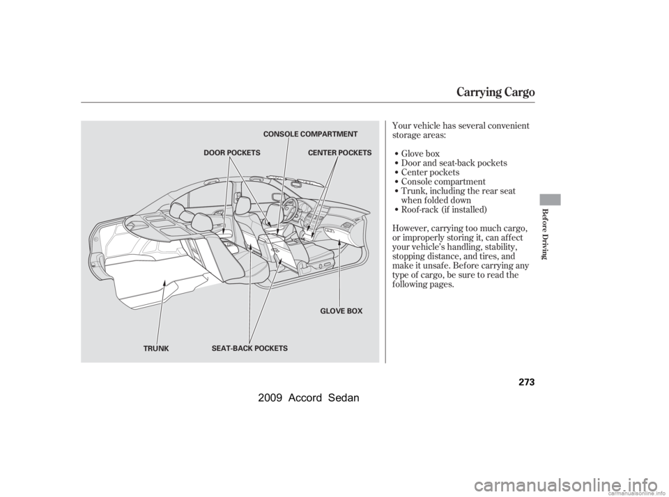 HONDA ACCORD SEDAN 2009  Owners Manual (in English) 
Your vehicle has several convenient
storage areas:Glove box
Door and seat-back pockets
Center pockets
Console compartment
Trunk, including the rear seat
when f olded down
Roof -rack (if installed)
Ho