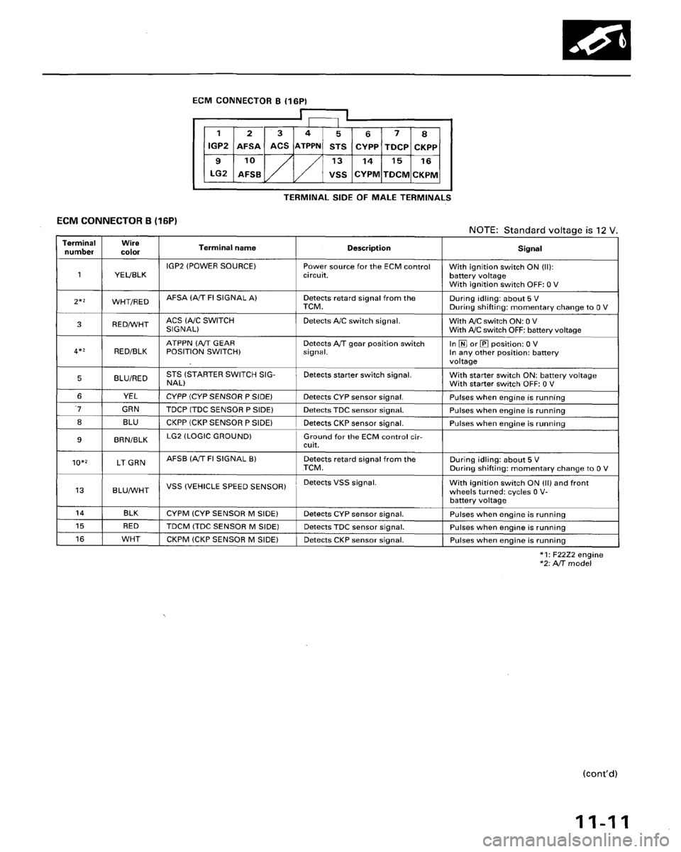 HONDA ACCORD 1996  Service Manual Supplement 