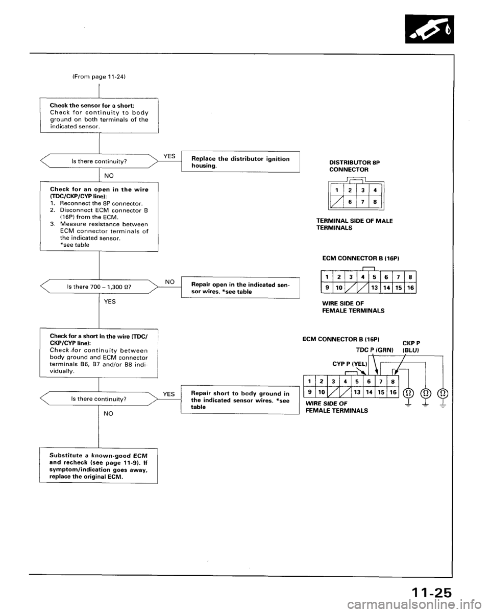 HONDA ACCORD 1996  Service Manual Supplement 