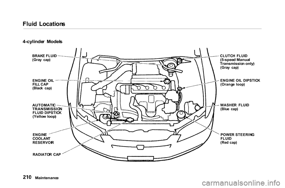HONDA ACCORD COUPE 2000 CF / 6.G Owners Manual Flui
d  Location s

4-cylinde r  Model s

Maintenanc e
 CLUTC
H  FLUI D

(5-spee d Manua l

Transmissio n only )

(Gra y  cap )
ENGIN E OI L  DIPSTIC K
(Orang e  loop )
WASHE R  FLUI D
(Blu e  cap )
P