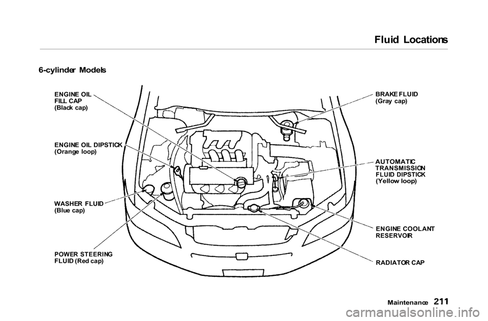 HONDA ACCORD COUPE 2000 CF / 6.G Owners Manual 
Flui
d  Location s

6-cylinde r  Model s

Maintenance

ENGIN
E OI L
FIL L CA P
(Blac k  cap ) BRAK
E FLUI D
(Gra y  cap )

AUTOMATI C

TRANSMISSIO N

FLUI D  DIPSTIC K

(Yello w loop )

ENGIN E COOLA