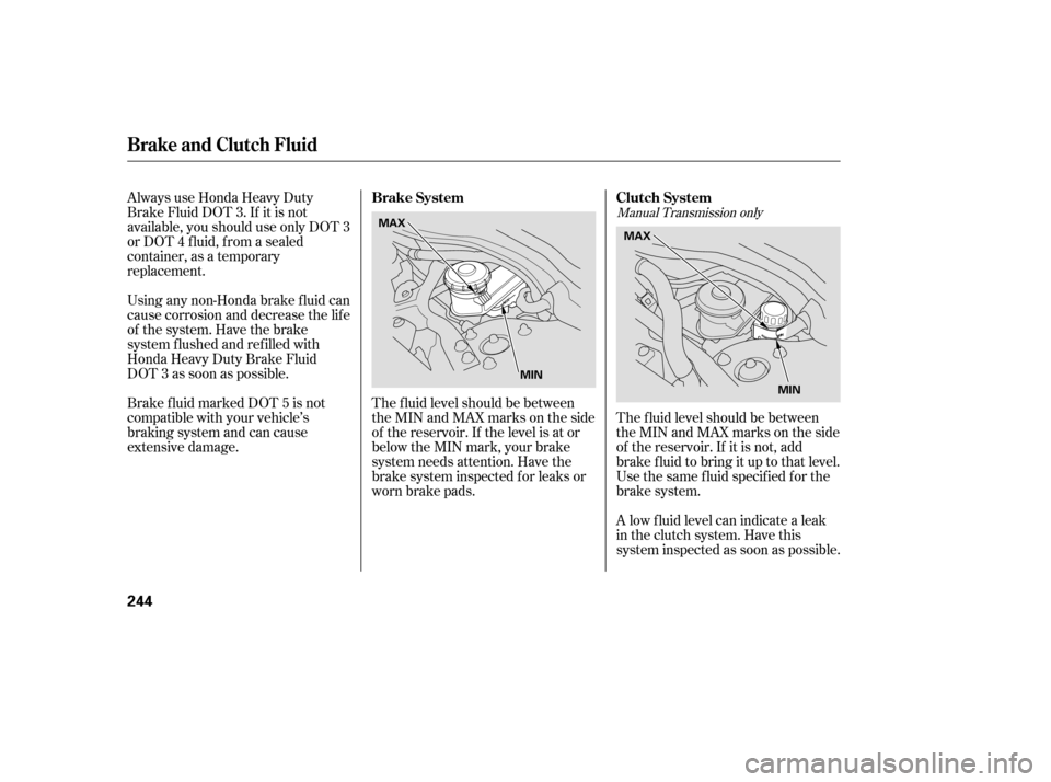 HONDA ACCORD COUPE 2006 CL7 / 7.G Owners Manual Always use Honda Heavy Duty
Brake Fluid DOT 3. If it is not
available, you should use only DOT 3
or DOT 4 f luid, f rom a sealed
container, as a temporary
replacement.
Using any non-Honda brake f luid HONDA ACCORD COUPE 2006 CL7 / 7.G Owners Manual Always use Honda Heavy Duty
Brake Fluid DOT 3. If it is not
available, you should use only DOT 3
or DOT 4 f luid, f rom a sealed
container, as a temporary
replacement.
Using any non-Honda brake f luid
