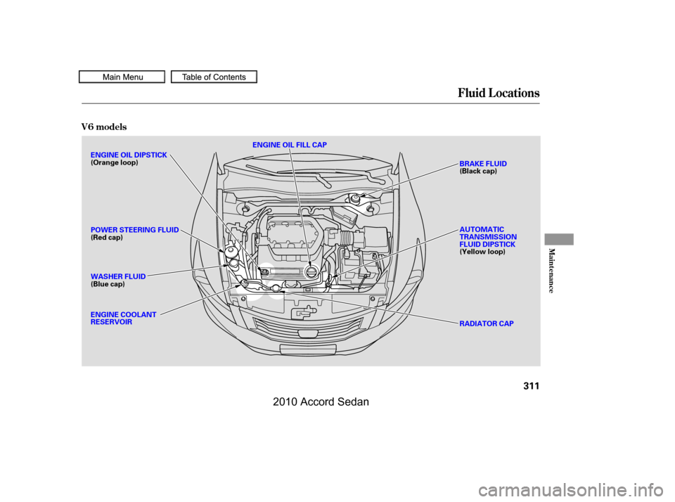 HONDA ACCORD COUPE 2010 8.G Owners Manual Fluid Locations
V6 models
Maint enance
311
ENGINE OIL FILL CAP
BRAKE FLUID (Black cap) 
AUTOMATIC TRANSMISSIONFLUID DIPSTICK(Yellow loop) 
RADIATOR CAP
ENGINE OIL DIPSTICK (Orange loop) 
POWER STEERIN