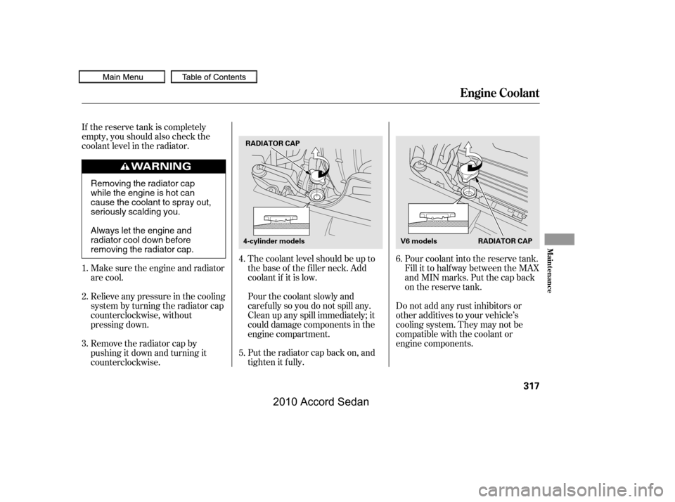 HONDA ACCORD COUPE 2010 8.G Owners Manual The coolant level should be up to 
the base of the f iller neck. Add
coolant if it is low. 
Pourthecoolantslowlyand 
caref ully so you do not spill any.
Clean up any spill immediately; it
could damage
