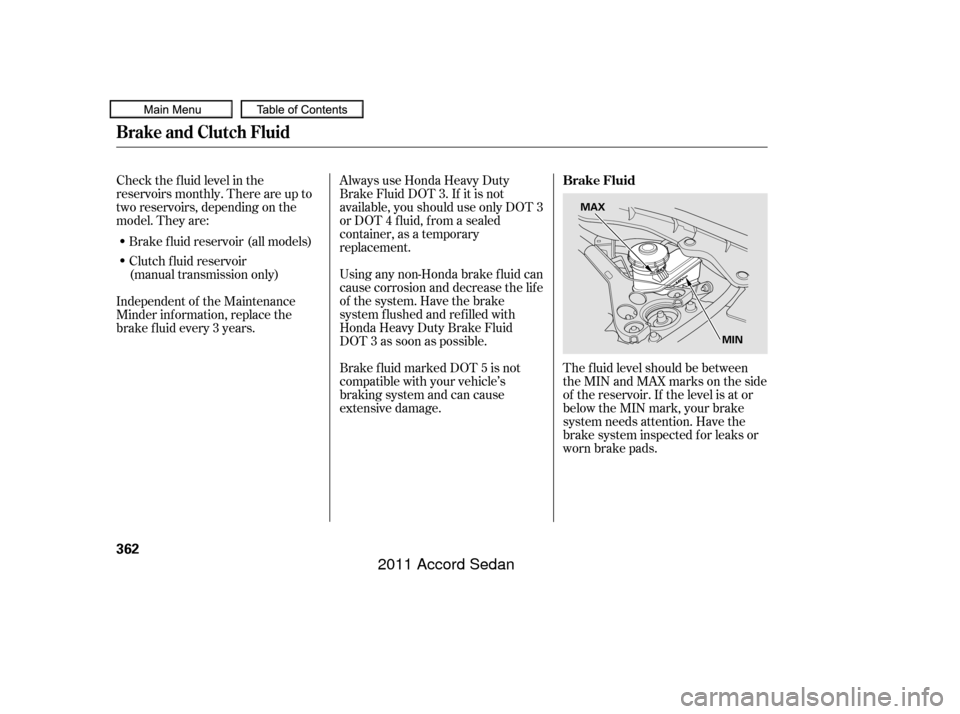 HONDA ACCORD COUPE 2011 8.G Owners Manual Check the f luid level in the
reservoirs monthly. There are up to
two reservoirs, depending on the
model. They are:Always use Honda Heavy Duty
Brake Fluid DOT 3. If it is not
available, you should use
