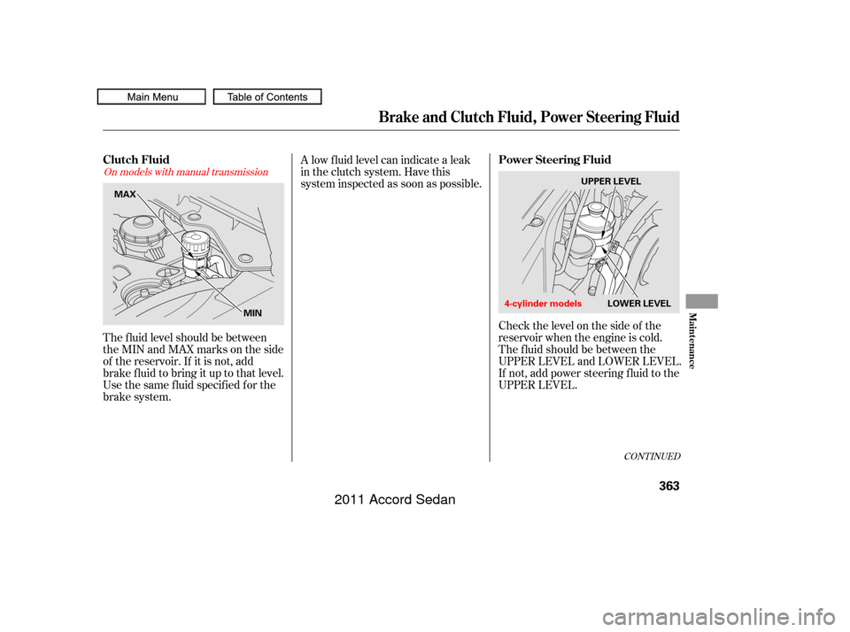 HONDA ACCORD COUPE 2011 8.G Owners Manual Check the level on the side of the
reservoir when the engine is cold.
The f luid should be between the
UPPER LEVEL and LOWER LEVEL.
If not, add power steering f luid to the
UPPER LEVEL.
The f luid lev