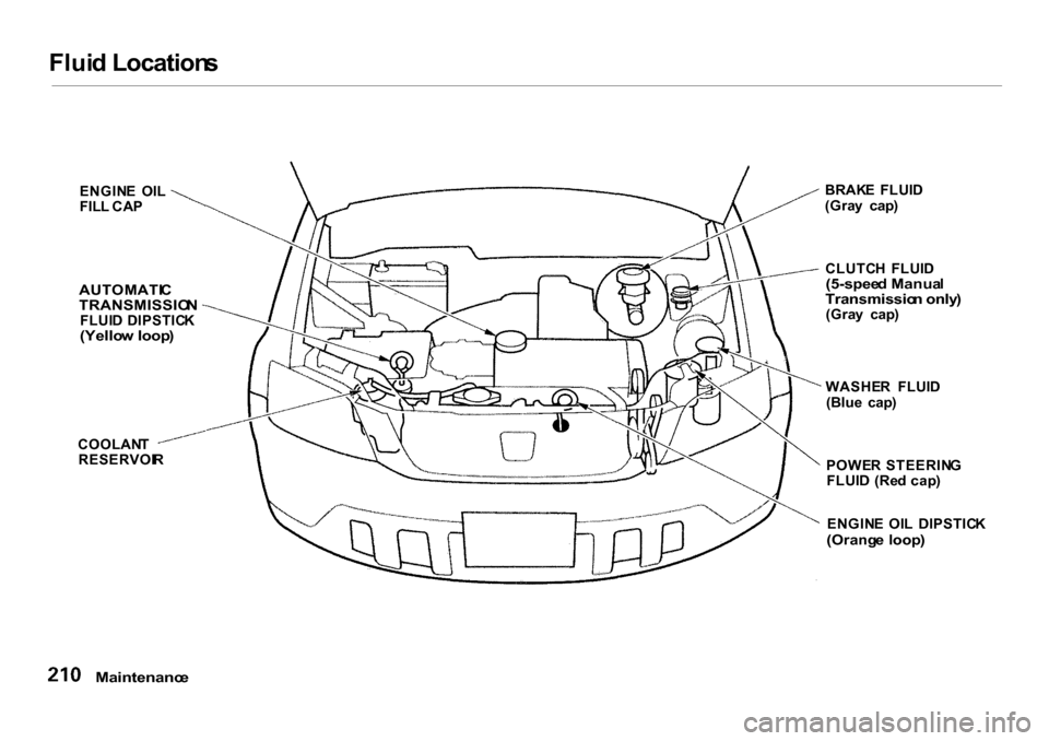 HONDA CR-V 2001 RD1-RD3 / 1.G Owners Manual 
Flui
d Location s
ENGIN E  OI L
FIL L CA P

AUTOMATI C
TRANSMISSIO N

FLUI D DIPSTIC K

(Yello w loop )

COOLAN T
RESERVOI R BRAK
E  FLUI D
(Gra y  cap )
CLUTC H  FLUI D

(5-spee d Manua l

Transmiss