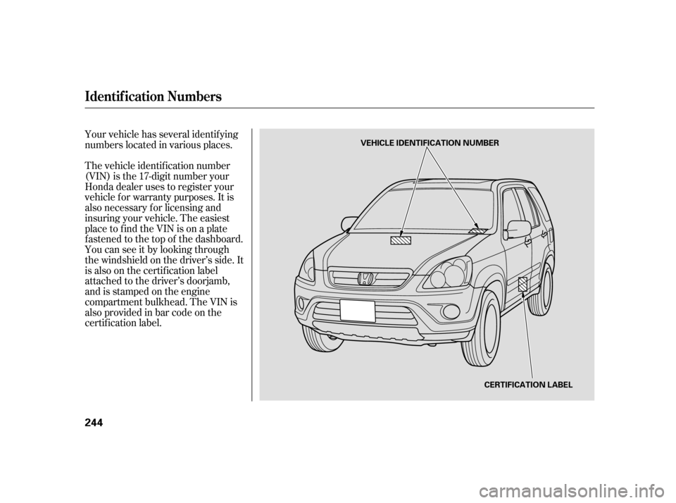HONDA CR-V 2006 RD4-RD7 / 2.G Owners Manual Your vehicle has several identif ying
numbers located in various places.
The vehicle identif ication number
(VIN) is the 17-digit number your
Honda dealer uses to register your
vehicle f or warranty p