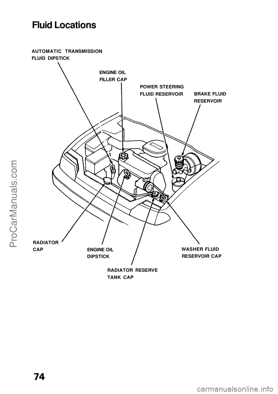 HONDA CIVIC 1991  Owners Manual Fluid Locations
AUTOMATIC TRANSMISSION
FLUID DIPSTICK ENGINE OILFILLER CAP
POWER STEERING
FLUID RESERVOIR
RADIATOR
CAP WASHER FLUID
RESERVOIR CAP
RADIATOR RESERVE
TANK CAP BRAKE FLUID
RESERVOIR
ENGINE